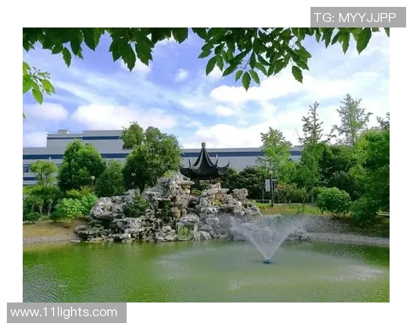 杭州排球队的崛起之路:从默默无闻到世锦赛的荣耀之旅 杭州排球队的崛起之路:从默默无闻到世锦赛的荣耀之旅