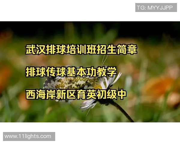 武汉排球队技术革新引发热议助力排球运动新发展