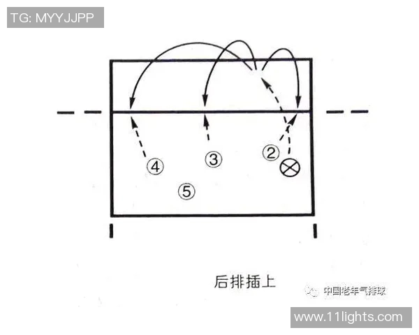 上海排球队战术解析与聚焦排球的未来发展探讨