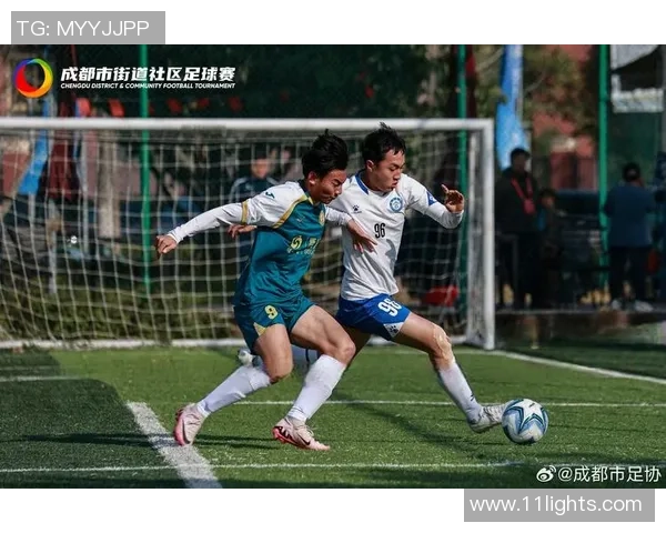 成都排球队战术变革引发热议助力球队新征程