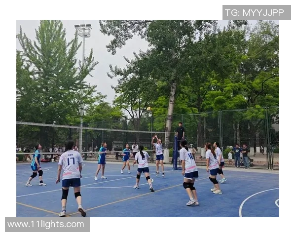 排球耐力排行榜揭晓北京排球队荣登第九位展现实力与拼搏精神 排球耐力排行榜揭晓北京排球队荣登第九位展现实力与拼搏精神