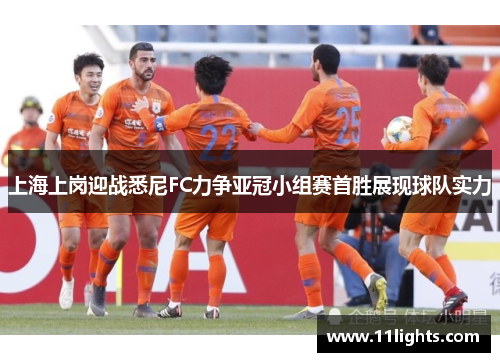 上海上岗迎战悉尼FC力争亚冠小组赛首胜展现球队实力